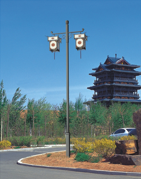 宅男666视频社区照明5米双头双头仿古庭院灯图片