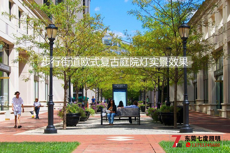 宅男666视频社区照明-步行街道欧式复古庭院灯安装实景效果图片