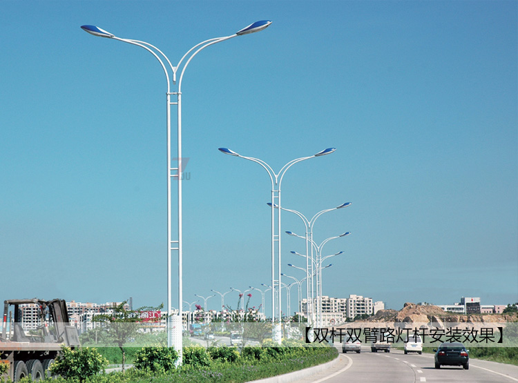 12米双杆双臂道路午夜宅男在线观看安装实景效果