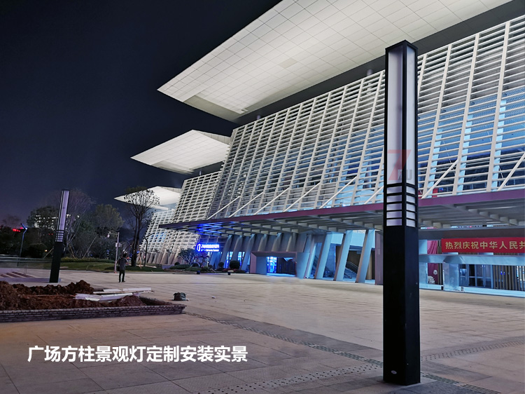 东莞市民服务中心广场中轴定制宅男在线观看安装实拍效果